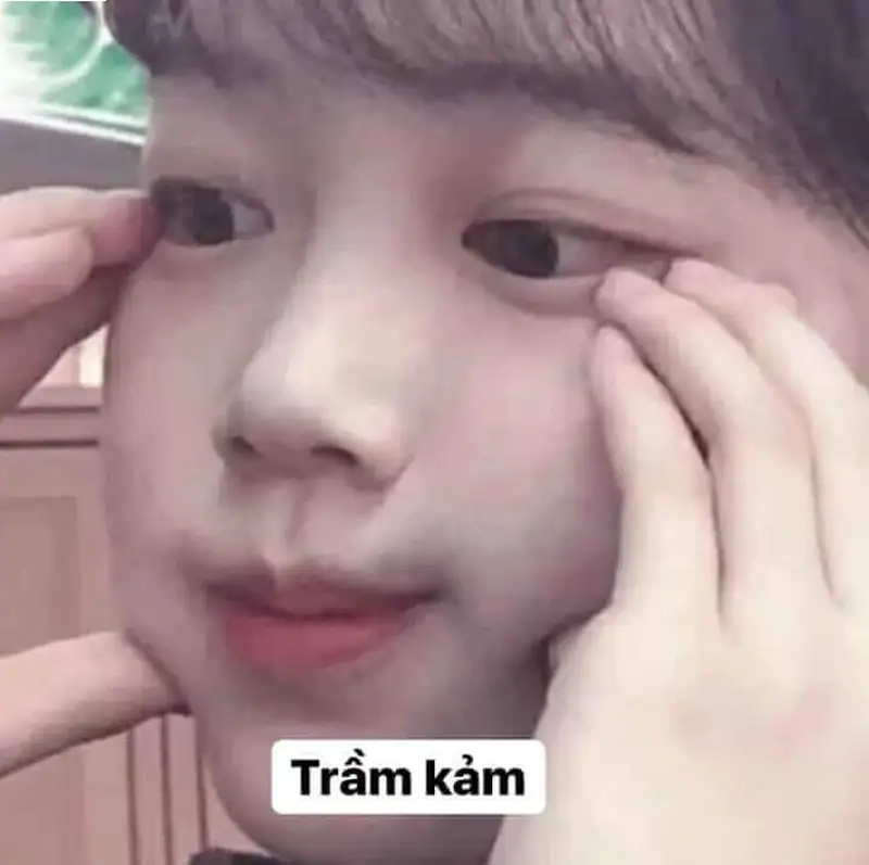 Khám phá xu hướng trầm kảm meme mới