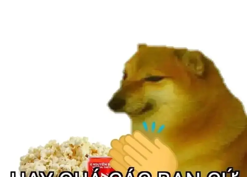 Thưởng thức meme hải cẩu vỗ tay vui nhộn và đáng yêu