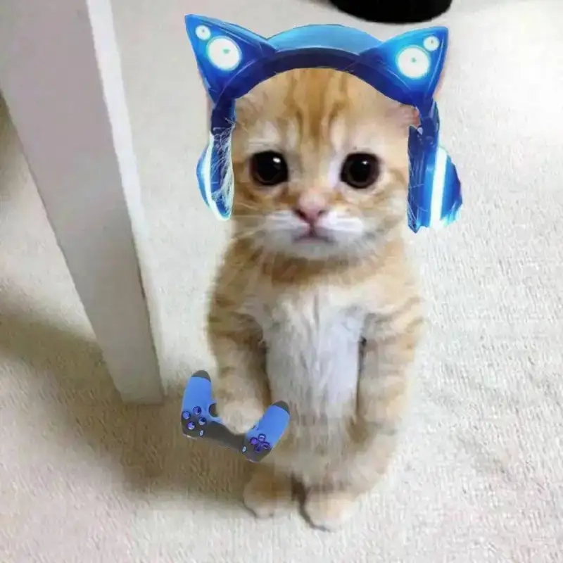 Khám phá meme vô tri ảnh meme avatar vô tri