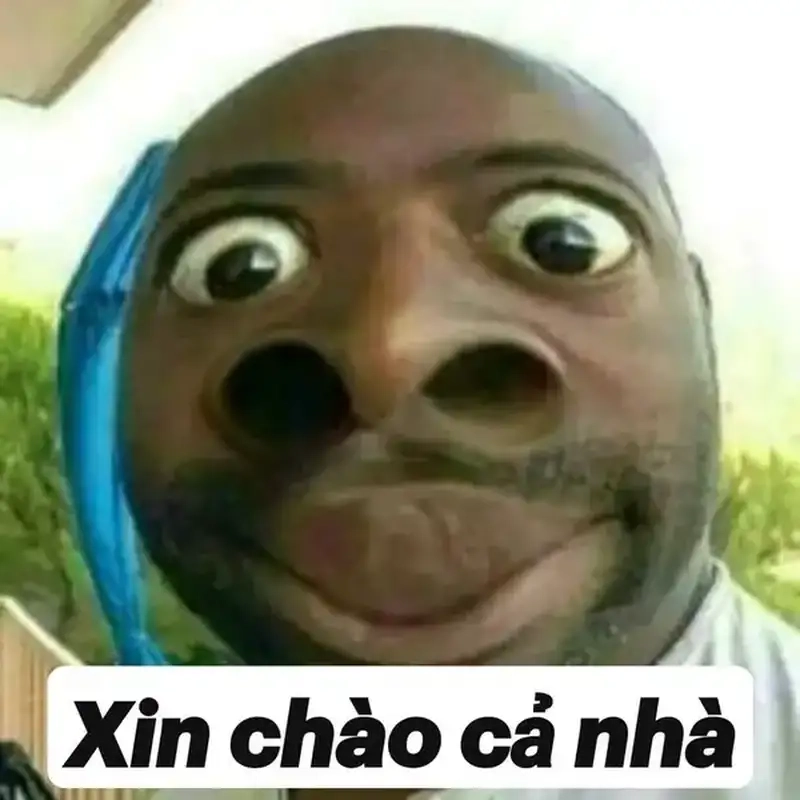 Cùng xem xin chào meme hài hước hôm nay