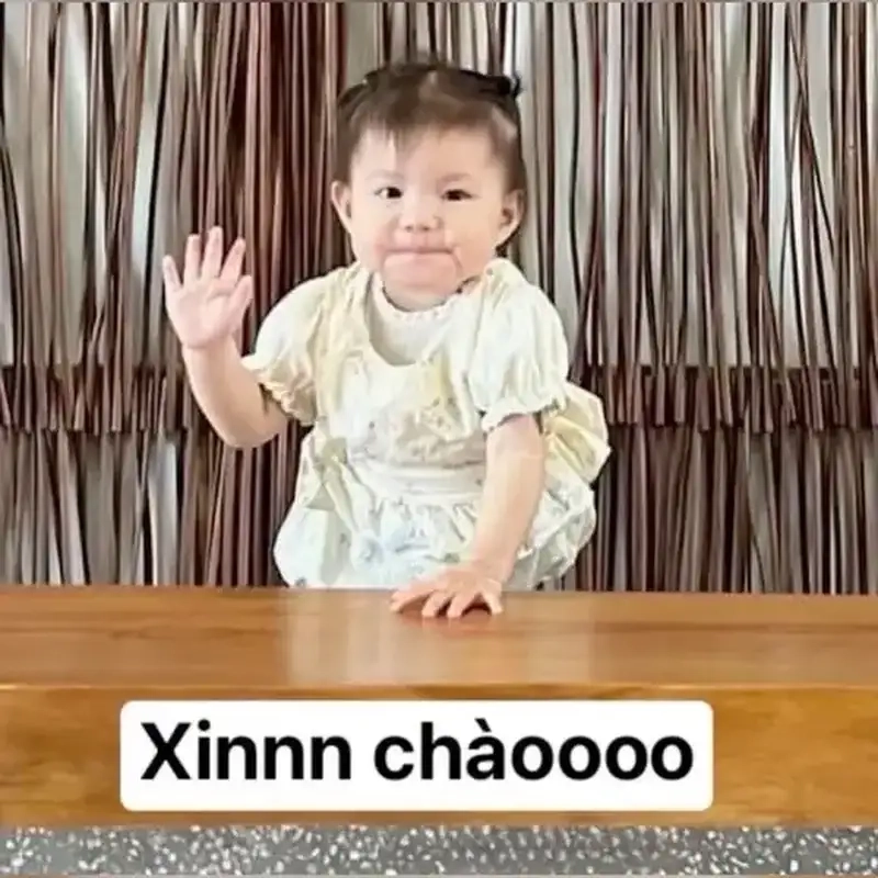 Xem ngay meme xin chào dễ thương cực cute