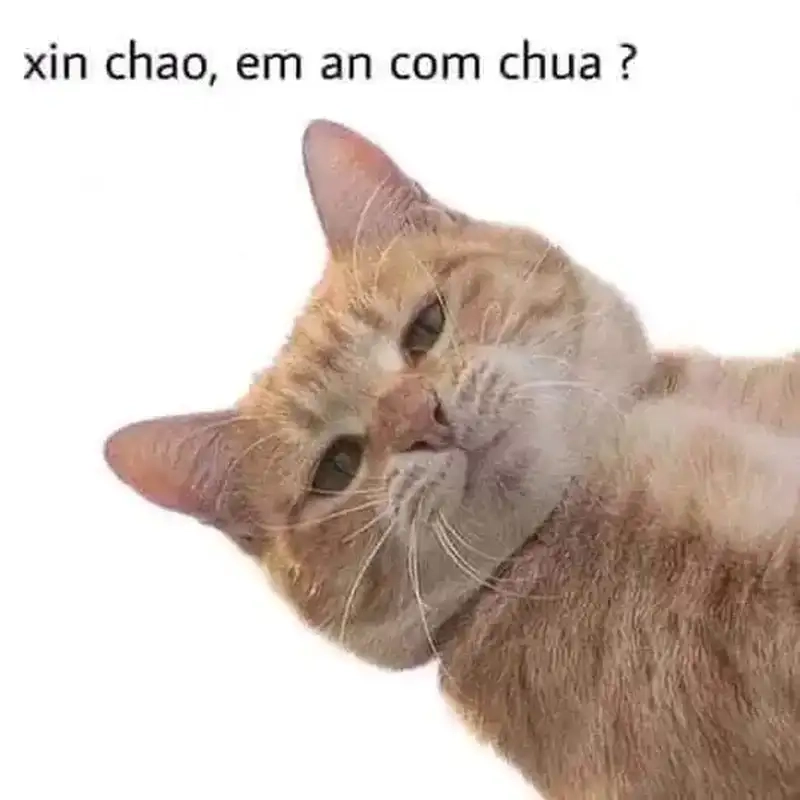 Gửi lời chào tới mọi người bằng meme xin chào người đẹp