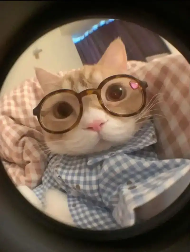 Cười lên mỗi ngày để sống vui với Meme tích cực