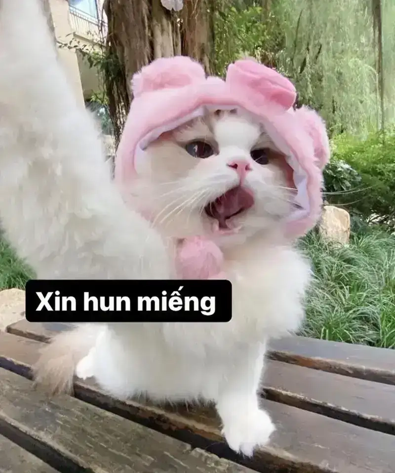 Trân trọng chính mình hơn nhờ Meme yêu bản thân