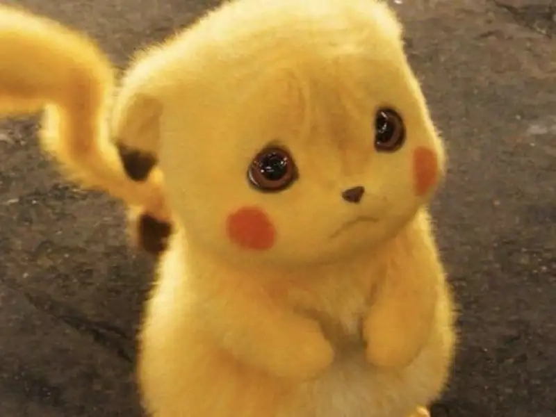 Trải nghiệm ngay no pikachu meme vui nhộn đáng yêu
