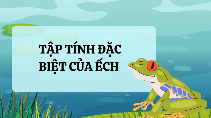 Cận cảnh chân ếch cây bám chặt trên cành lá
