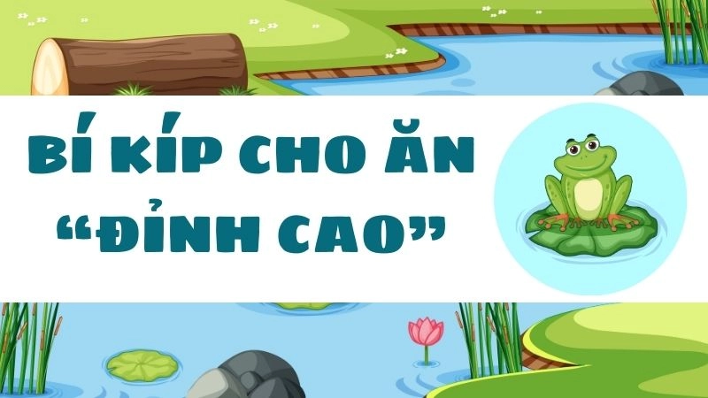 Bí kíp cho ăn “đỉnh cao” – Tăng 1kg thịt chỉ tốn 90 nghìn