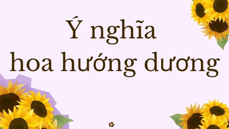 Nguồn gốc và đặc trưng nổi bật của hoa hướng dương 