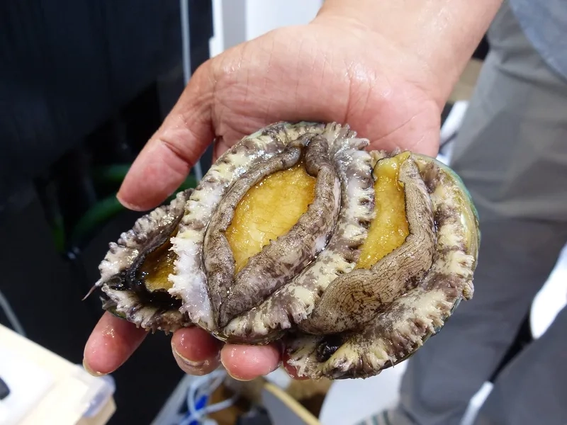 Bào ngư khô tiện lợi vẫn giữ đầy đủ dinh dưỡng