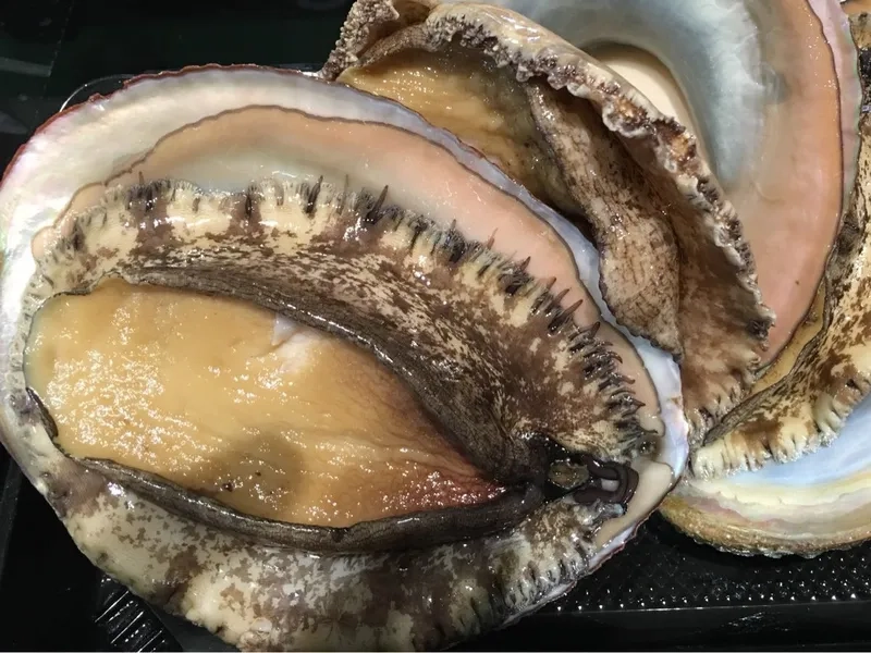 Bào ngư cao cấp sang trọng cho bữa ăn tinh tế