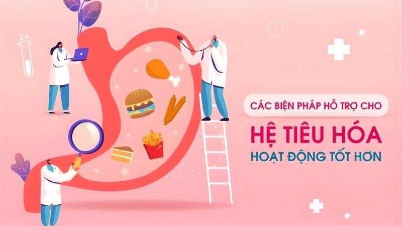 Biện pháp xử lý và phục hồi hệ tiêu hóa nhanh