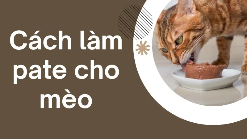 Nguyên liệu sạch tạo nên bát pate chuẩn vị