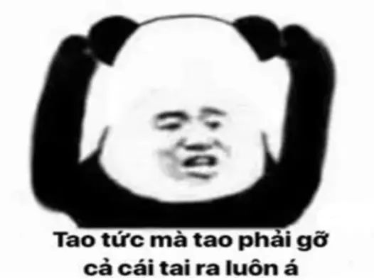 Khám phá bộ sưu tập ảnh meme chửi bá đạo đang gây bão mạng