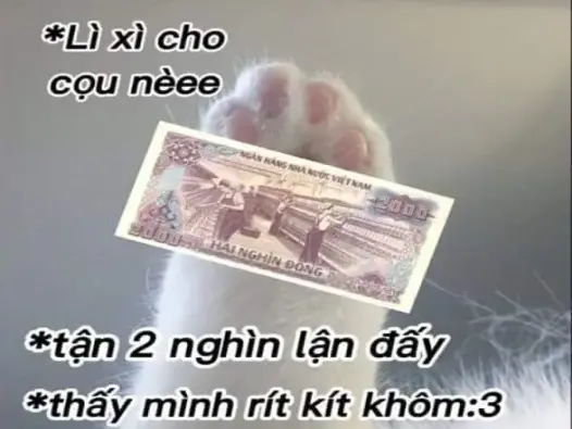 Khám phá bộ ảnh meme tiền siêu dễ thương và hài hước