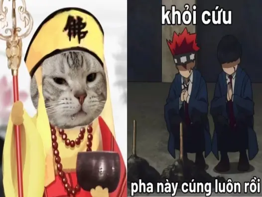 Những ảnh avatar hài hước nhất khiến bạn cười ra nước mắt
