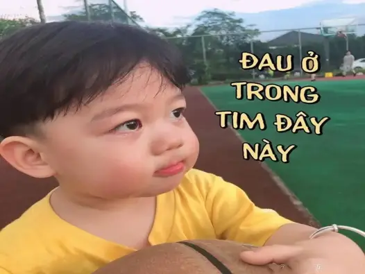 Đau ở đây này meme Hình ảnh vui nhộn khiến dân mạng bật cười