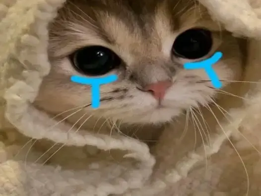 Meme đau khổ 2025- Bộ ảnh hài hước cực hot cho dân mạng