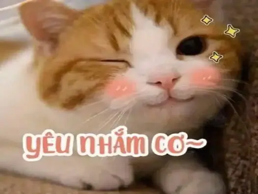 Khám phá meme hạnh phúc gây bão cộng đồng mạng 2025