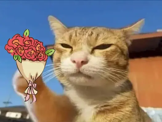 Meme mèo tặng hoa siêu dễ thương khiến dân mạng phì cười
