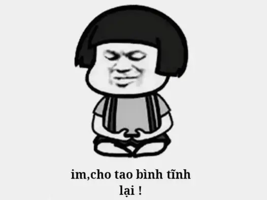 Meme tịnh tâm Hình ảnh hài hước giúp bạn thư giãn tức thì