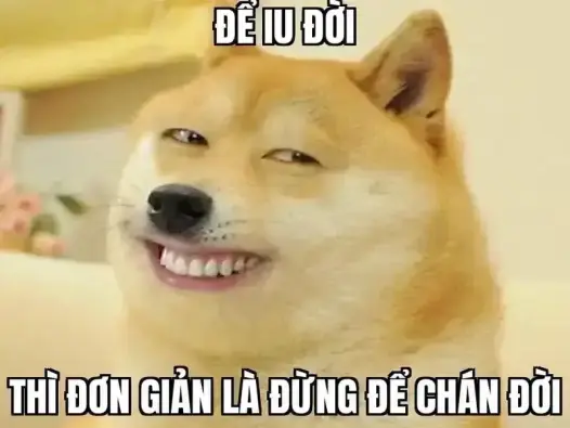 Meme yêu đời tích cực mang lại năng lượng hạnh phúc mỗi ngày
