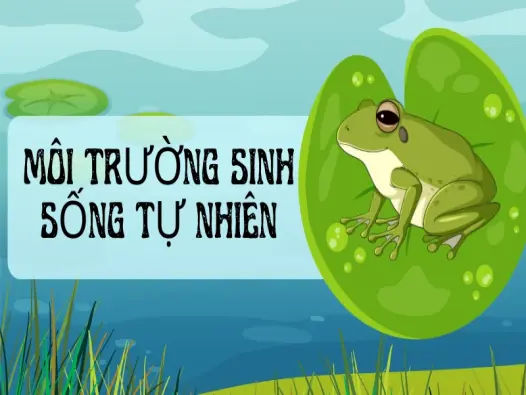 Khám phá những đặc điểm thú vị ít người biết của ếch cây