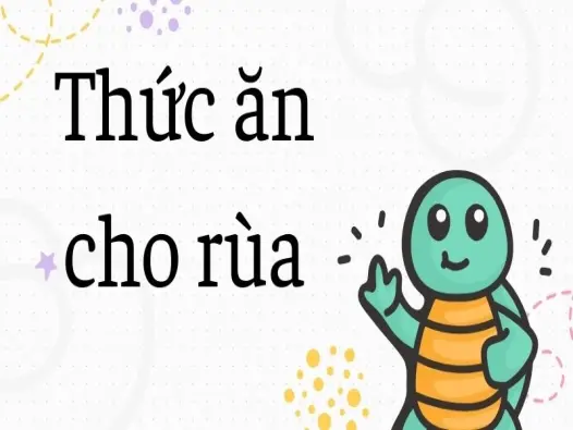 Thức ăn cho rùa giúp rùa khỏe mạnh và lớn nhanh chóng