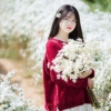 Phương Anh