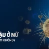 Bệnh lậu ở nữ giới những điều cần biết và cách phòng tránh