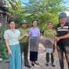 Cá thể Khỉ Mặt Đỏ Quý Hiếm: Hành trình giao nộp và bảo tồn tại Việt Nam