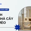 Cây Mèo: Hướng Dẫn Chọn Lựa Và Lợi Ích Toàn Diện Cho Bé Mèo