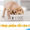 Chó ăn gì: Hướng dẫn chi tiết theo từng giai đoạn phát triển