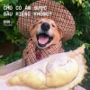 Chó có ăn được sầu riêng không? Phân tích chi tiết cho chủ nuôi