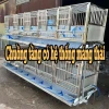 Chuồng cho chó: Hướng dẫn chọn lựa và các mẫu thiết kế phổ biến 2026