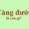 Giá Con Càng Đước Năm 2026: Cập Nhật Mới Nhất và Kinh Nghiệm Nuôi