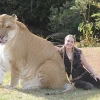 Hybrid Animals: Khám Phá Thế Giới Sinh Vật Lai Tạo Độc Đáo