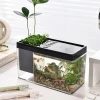 Khám Phá Thế Giới Bể Cá Cảnh Mini: Hướng Dẫn Chi Tiết và Mẫu Đẹp 2026