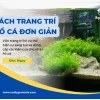 Khám Phá Thế Giới Bể Cá Đẹp: Từ Sang Trọng Đến Độc Đáo