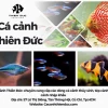 Khám phá Thế giới Cá Cảnh Nhiều Màu Sắc: Hướng dẫn chọn lựa và chăm sóc