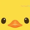 Khám Phá Thế Giới Vịt Cute Chibi Đáng Yêu Nhất 2026