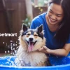 Không có sữa tắm cho chó, bạn nên tắm bằng gì?