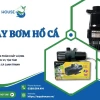 Máy bơm bể cá: Hướng dẫn chọn mua và sử dụng hiệu quả