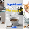 Thế Giới Đồ Cho Mèo: Từ A-Z Cho Boss Cưng Nhà Bạn