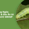 Tổng hợp 5+ loại sâu ăn lá phổ biến gây hại cây trồng và cách nhận biết