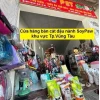 Top Pet Shop Vũng Tàu: Hướng Dẫn Chọn Cửa Hàng Thú Cưng Uy Tín
