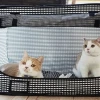 Túi Đựng Thú Cưng: Hướng Dẫn Chọn Lựa và Sử Dụng Hiệu Quả