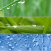 Understanding Dew Point in India and Heat Wave Dynamics