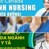 Lộ trình tư vấn du học Canada ngành y tá hiệu quả năm 2026