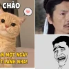 Meme Hài Hước Chế Phim Ảnh Mới Nhất Sự Thật Hay Lầm Tưởng?