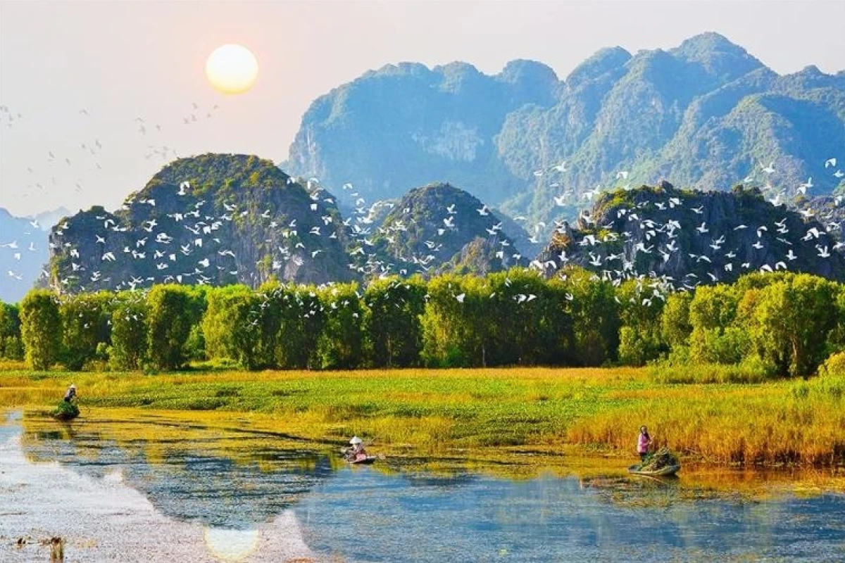 Khám phá Đầm Vân Long Ninh Bình Cẩm nang toàn diện 2026